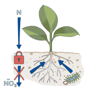 Diplo N-FIX — how it works
