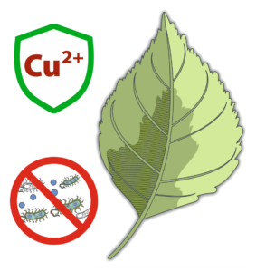 Leaf protected by copper ions against pathogens