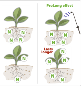 Nitrogen release over time, showing the ProLong effect lasting longer