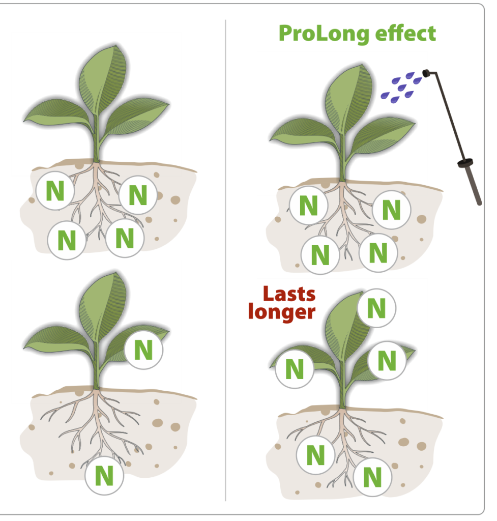 Nitrogen release over time, showing the ProLong effect lasting longer