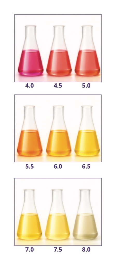 pH colour chart of flasks from red at pH 4.0 through orange to pale yellow at pH 8.0