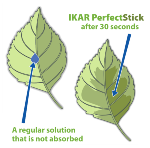 Two leaves comparing an unabsorbed droplet with full absorption after 30 seconds