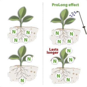 IN 9 / N29 ProLong — how it works